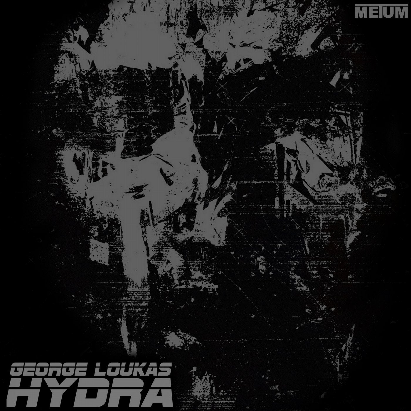 Hydra