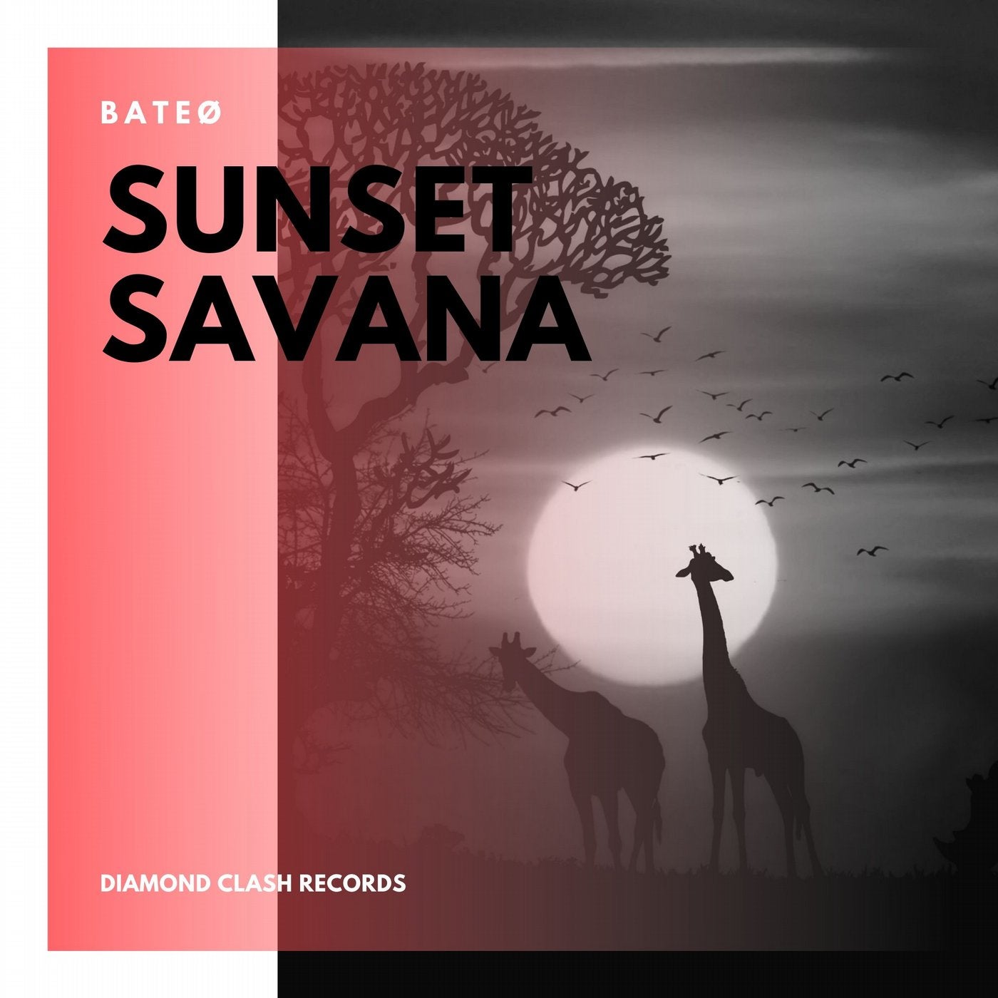 Sunset Savana