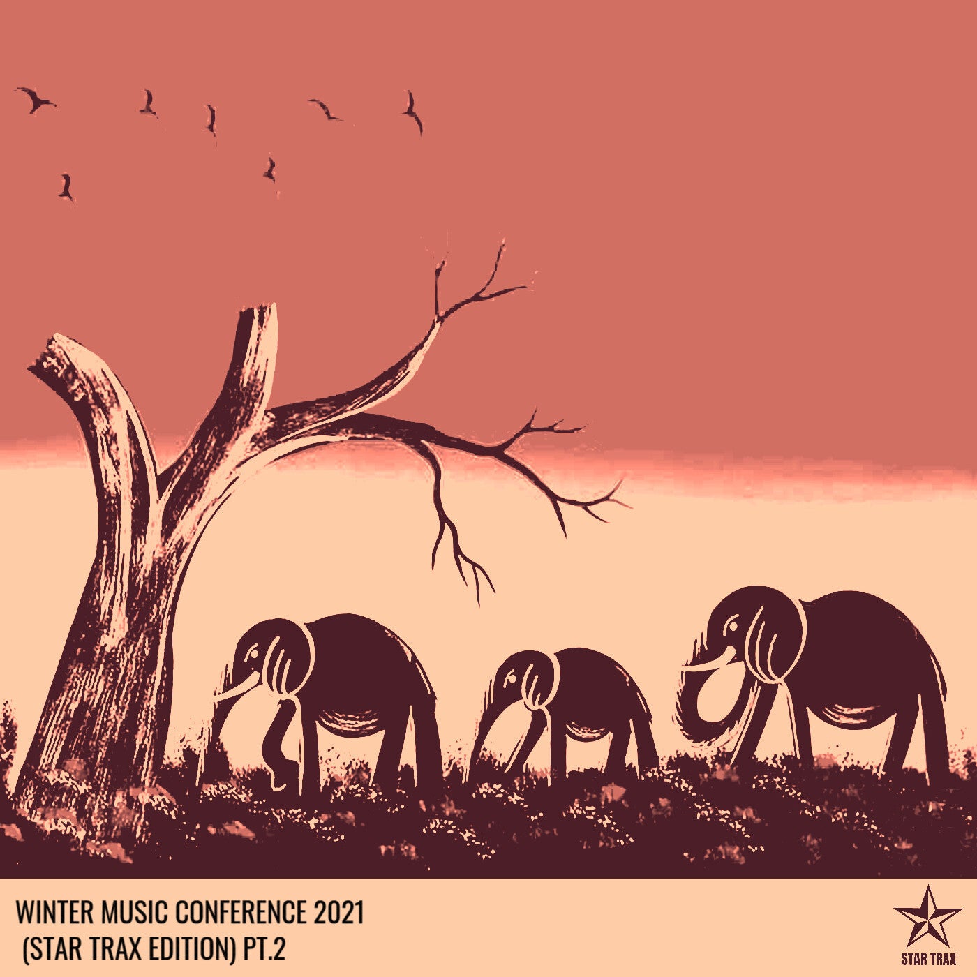 WINTER MUSIC CONFERENCE 2021 (STAR TRAX EDITION) PT.2