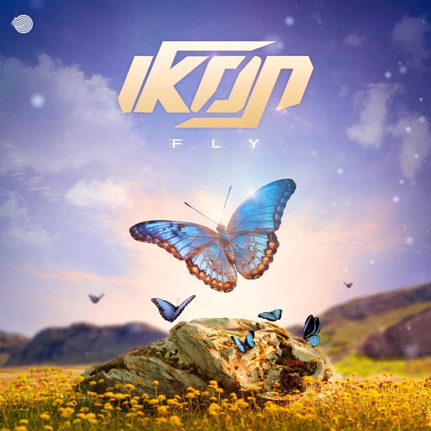 Fly