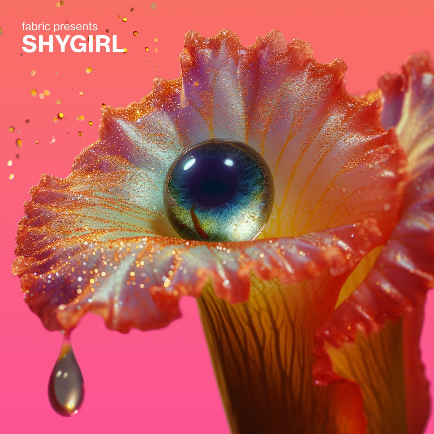 Cover art for fabric presents Shygirl