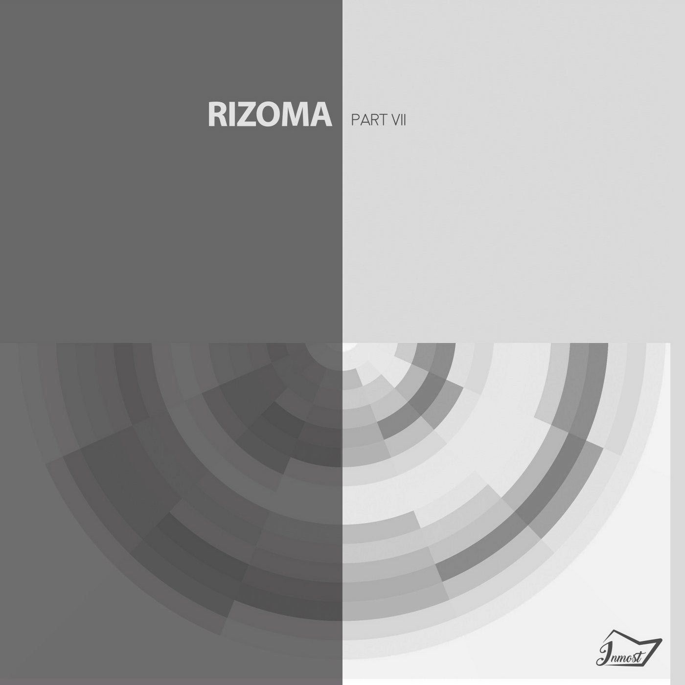 Rizoma 7