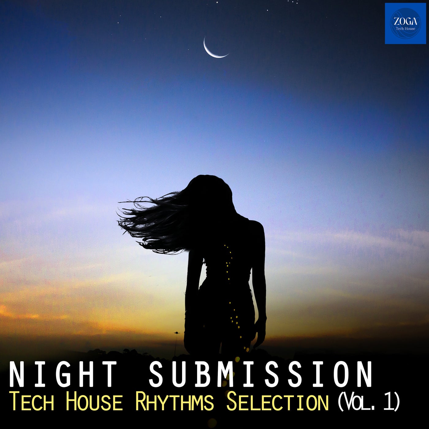 Night Submission, Vol. 1 - Tech House Rhythms Selection