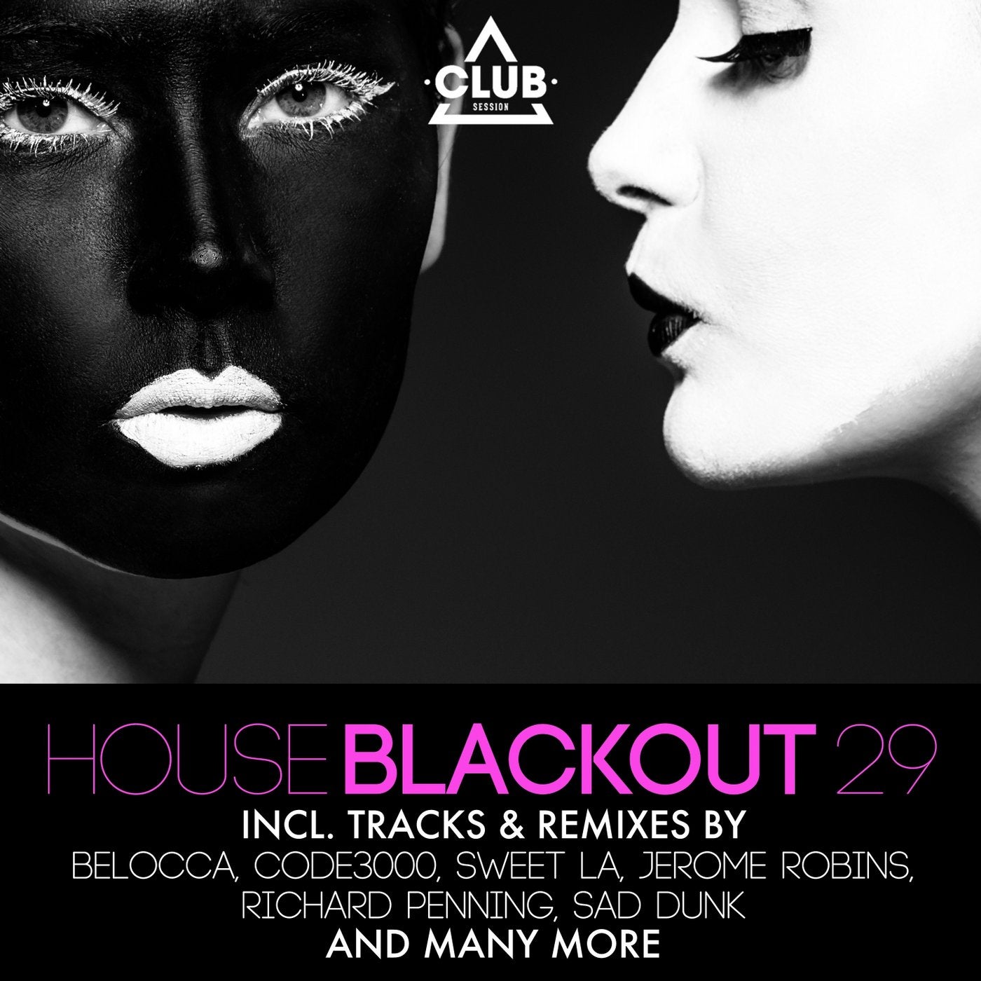 House Blackout Vol. 29