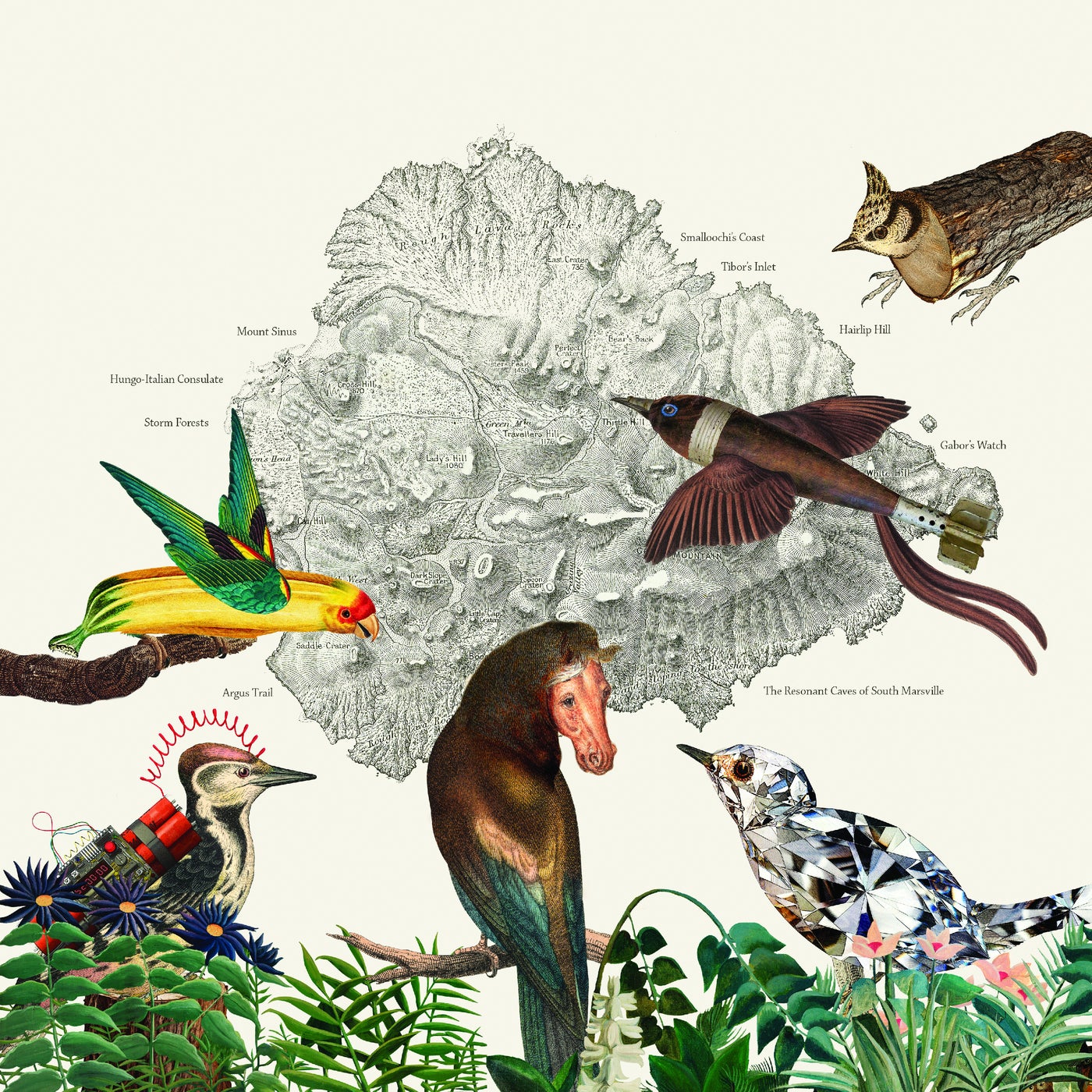 Birds 1-39