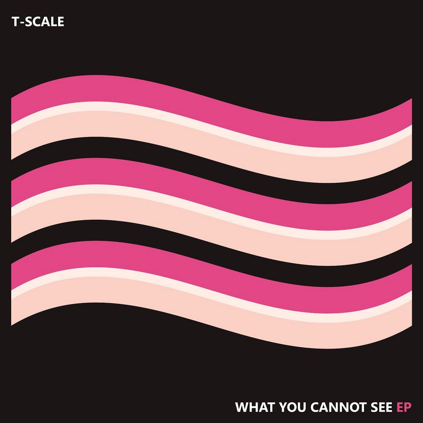 What You Cannot See EP