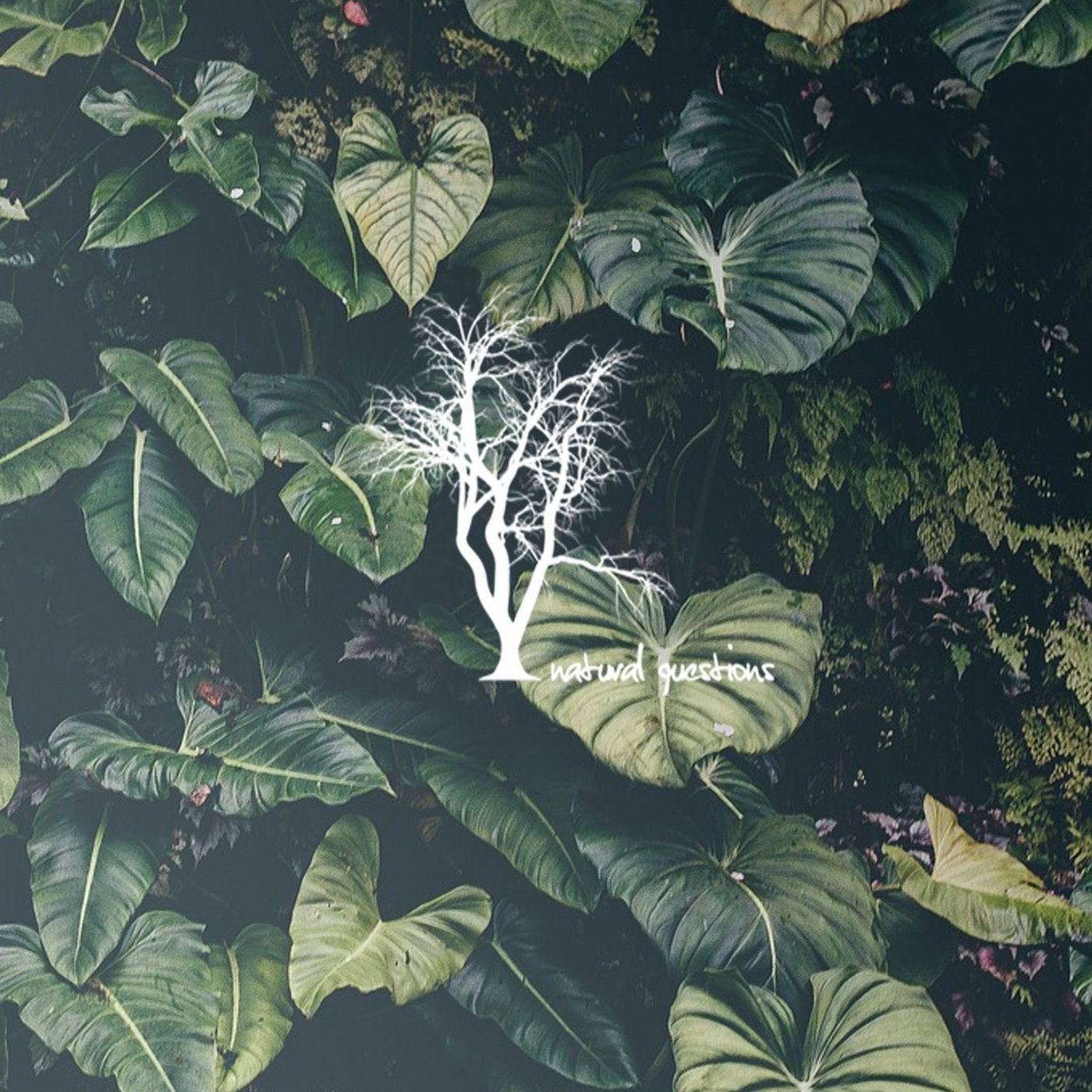 Planetoid EP