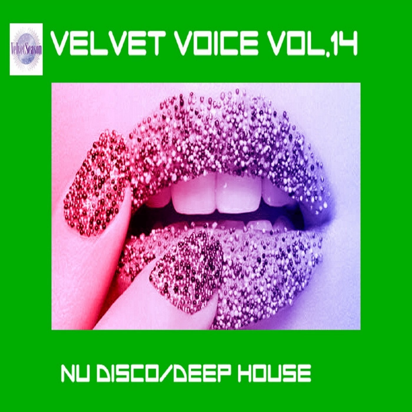 Velvet Voice VOL.14 [Nu Disco/Deep House]