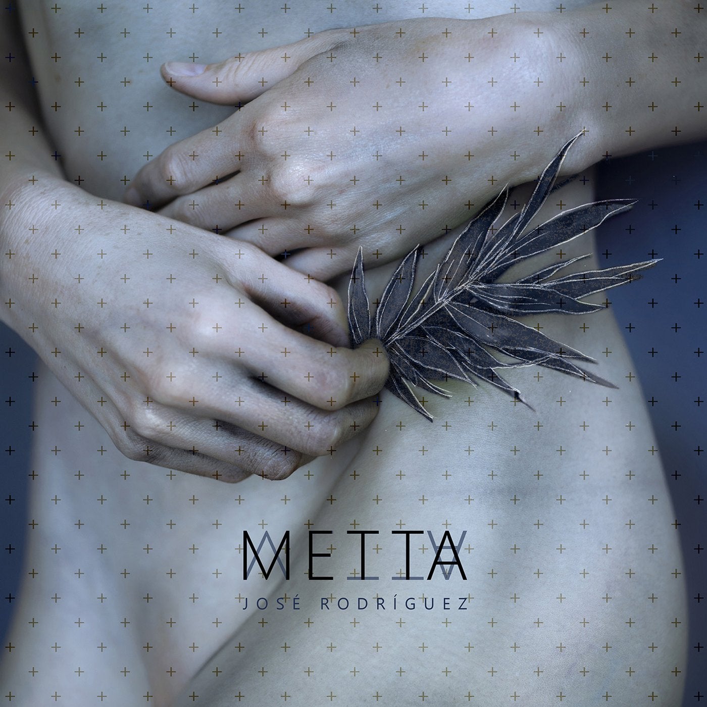 Metta - Ida