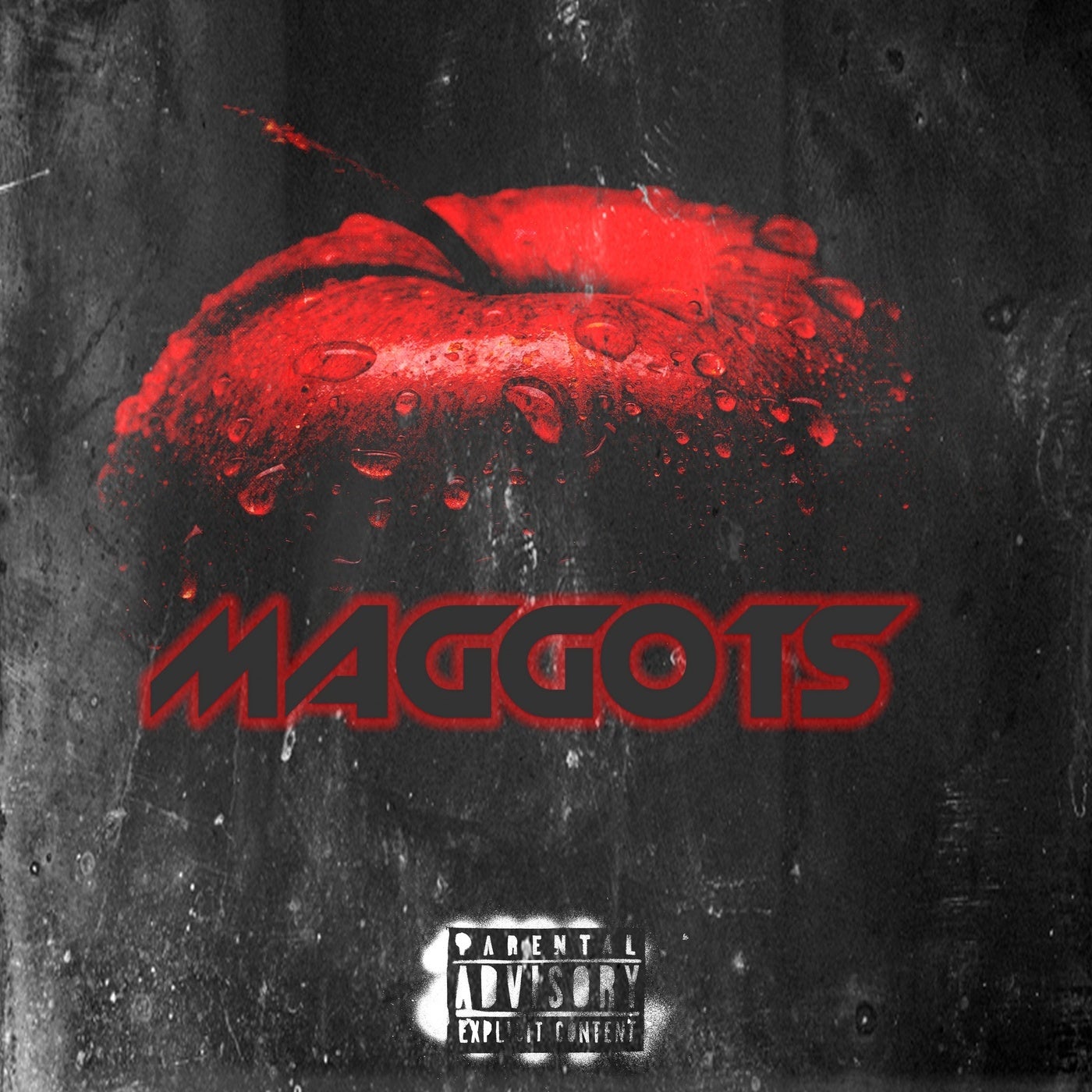 Maggots