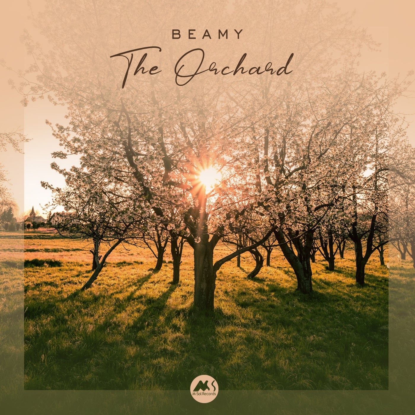 The Orchard