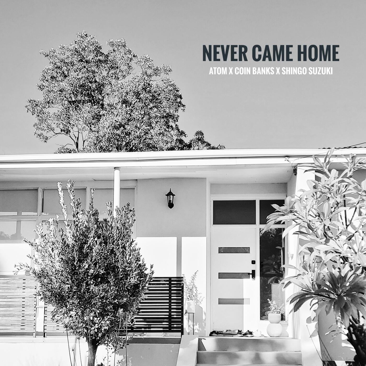 NEVER CAME HOME