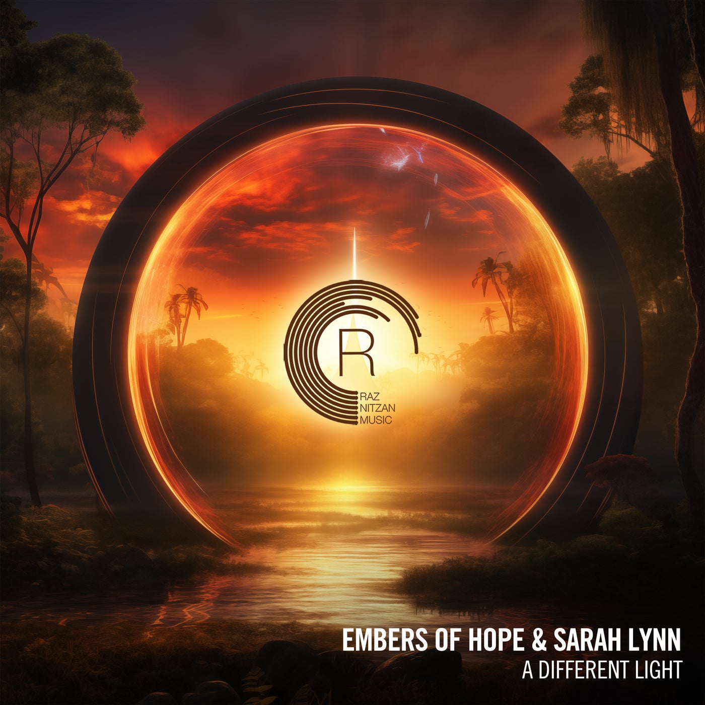 Cover art for A Different Light