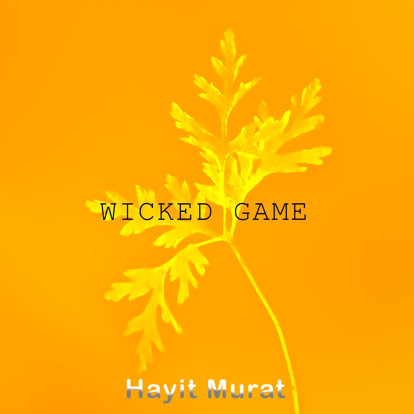 Wicked Game