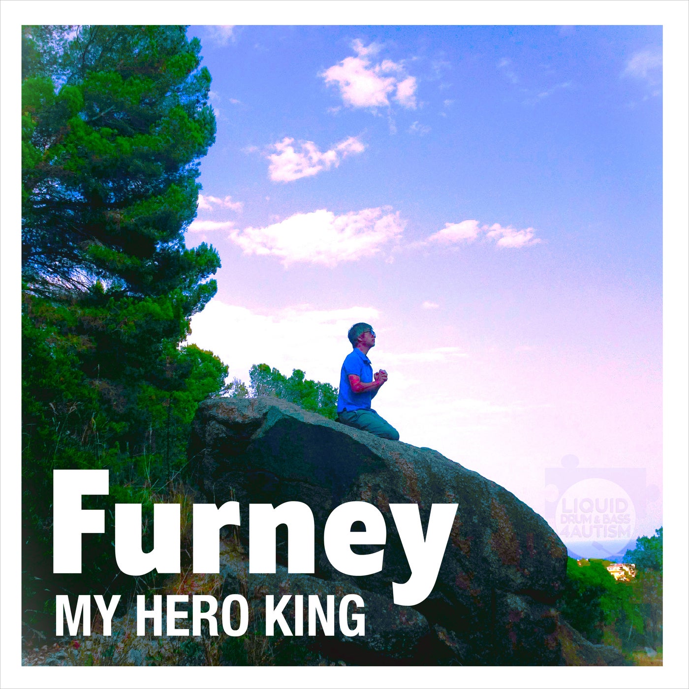 My Hero King
