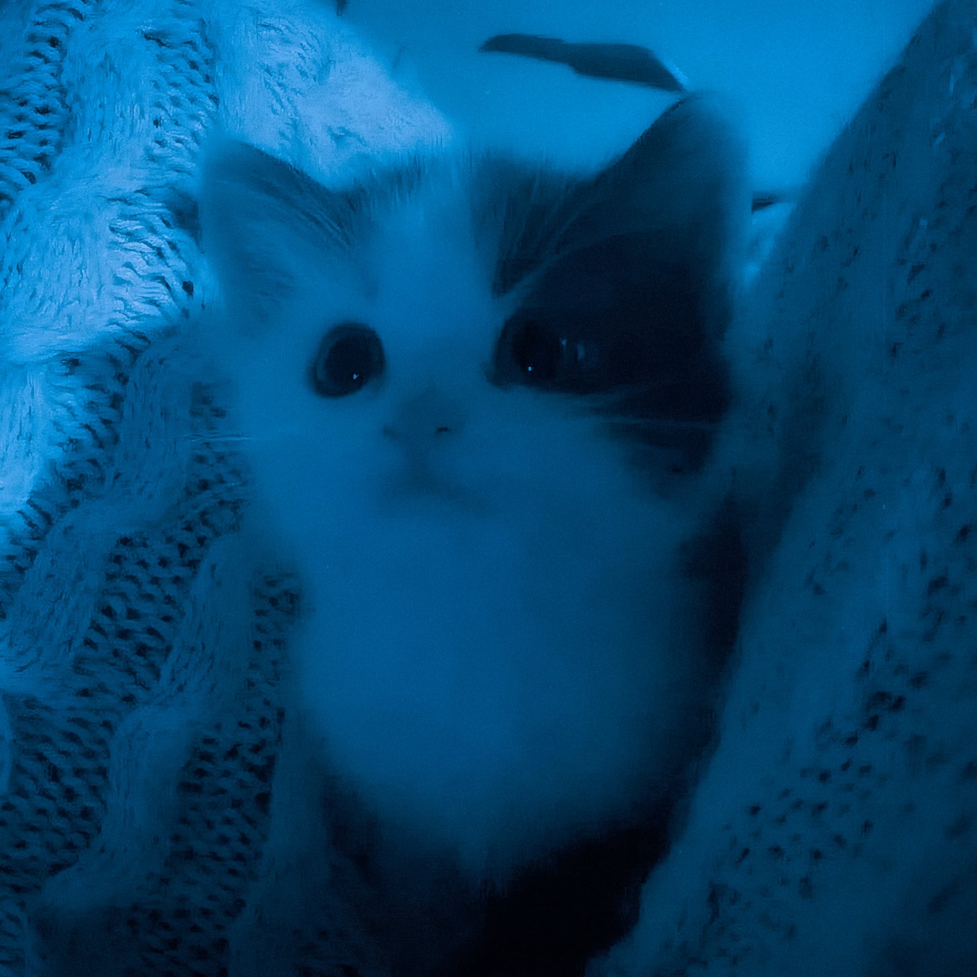 my little love