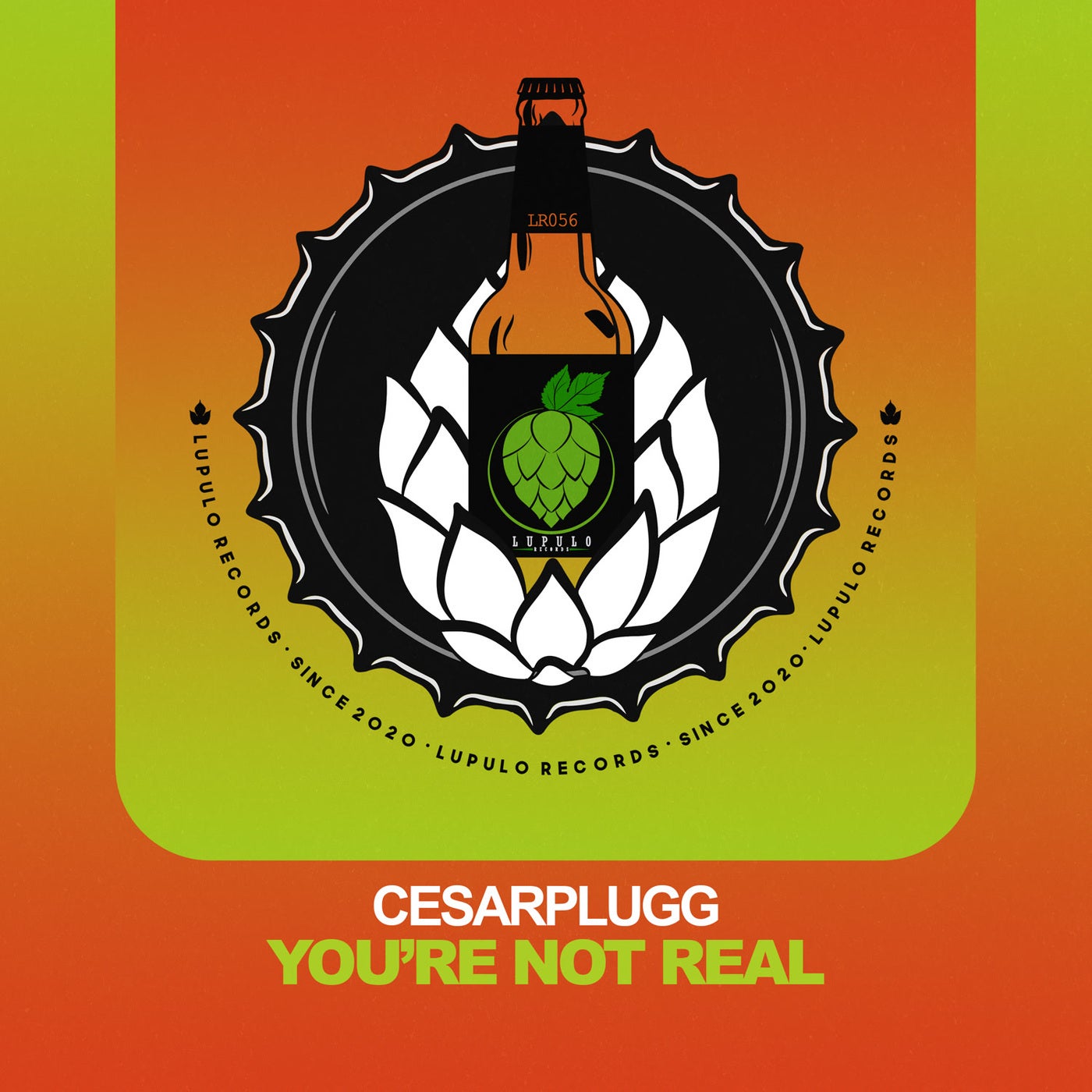 You're Not Real