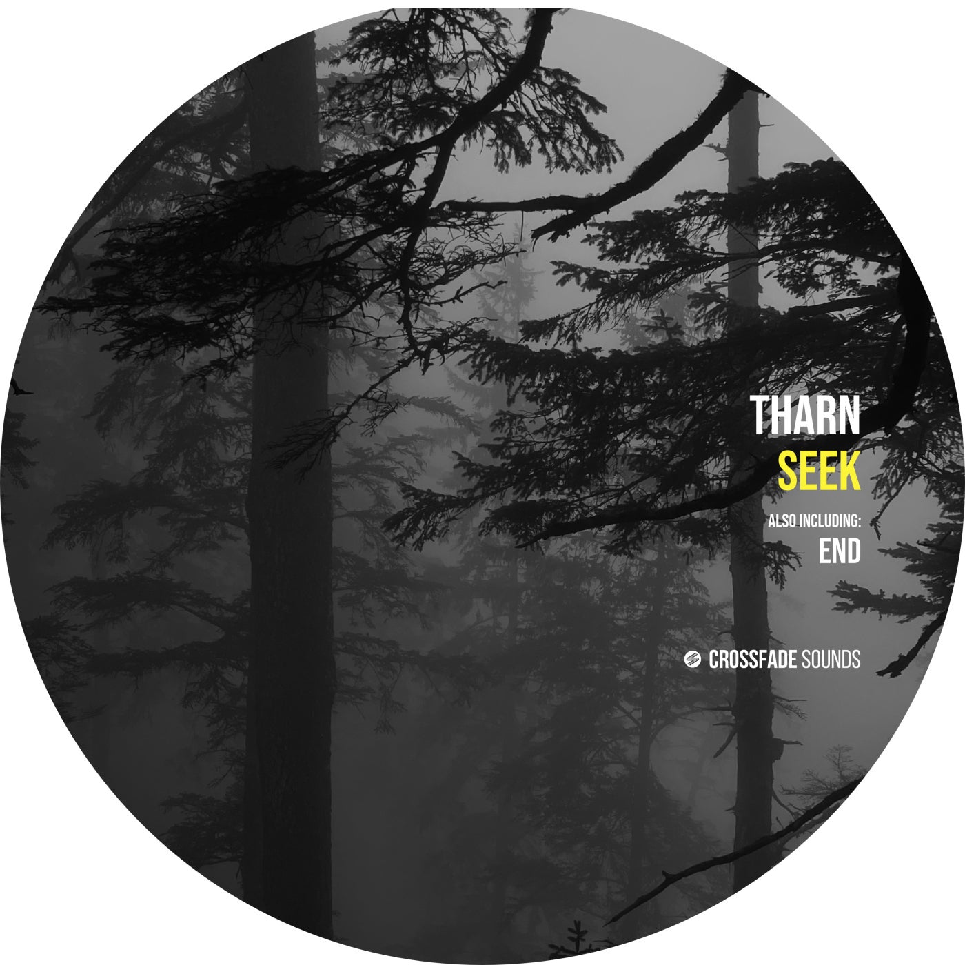 Seek