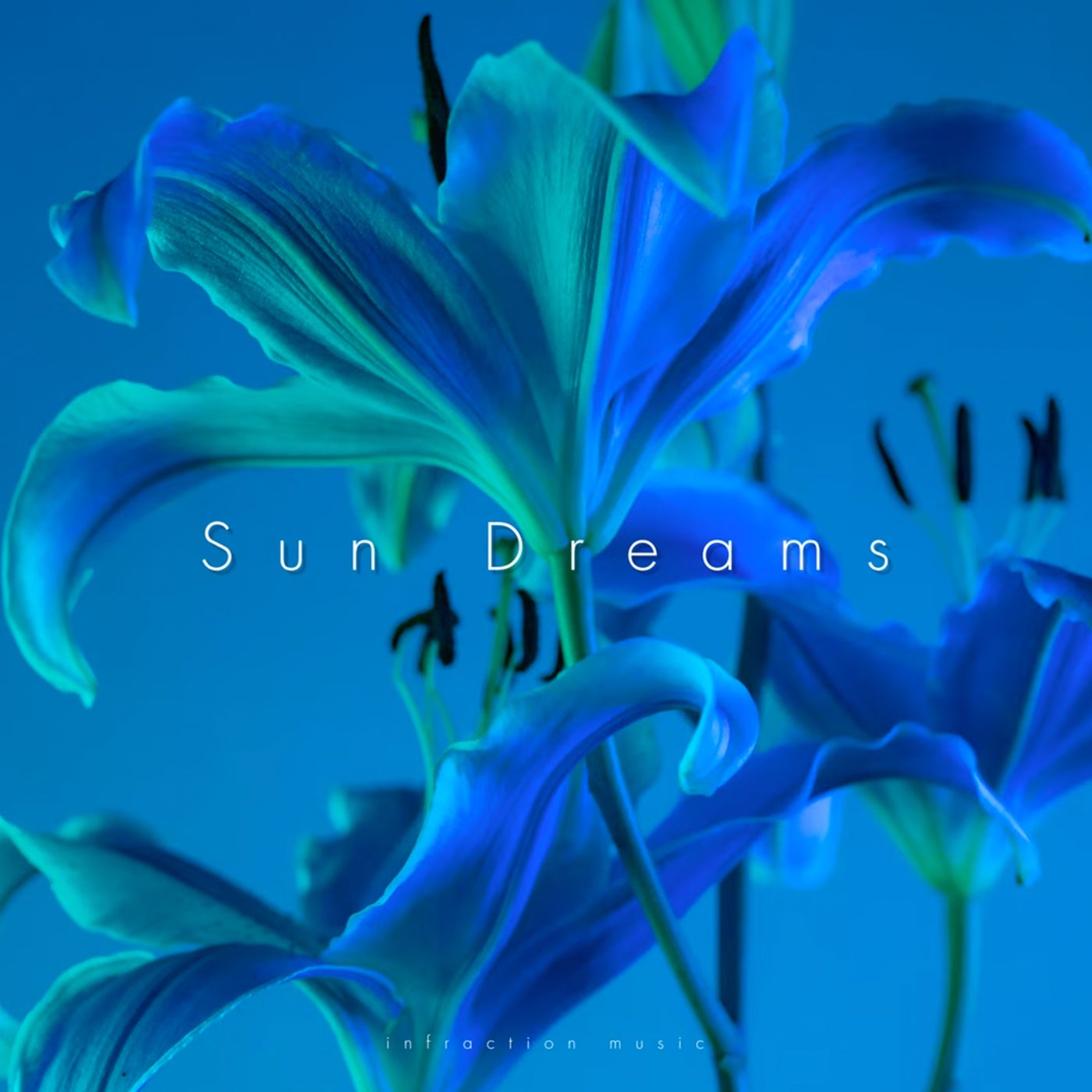 Sun Dreams