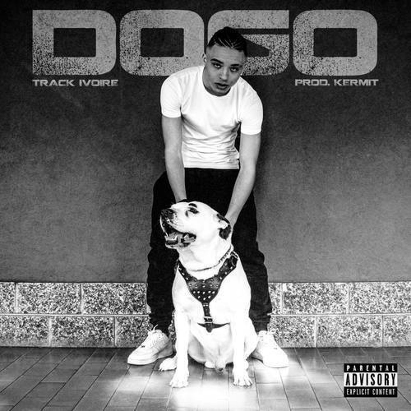 Dogo