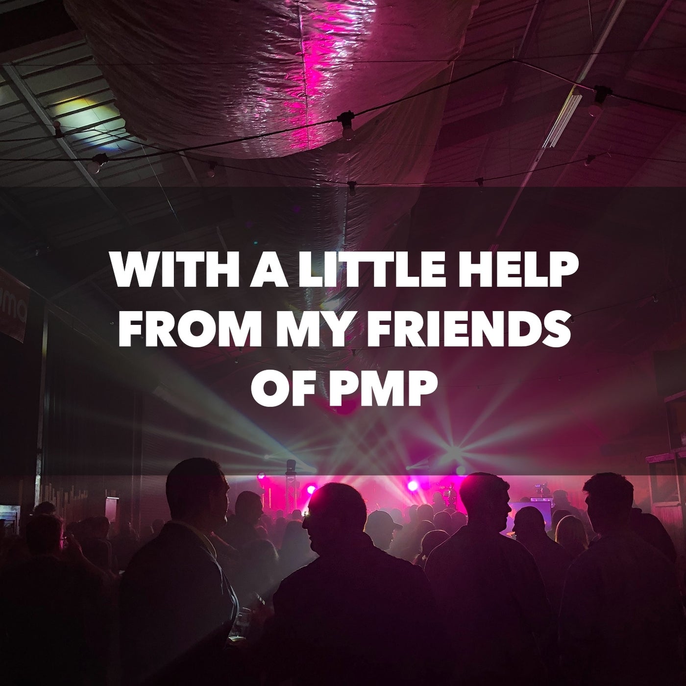With a Little Help from My Friends of Pmp