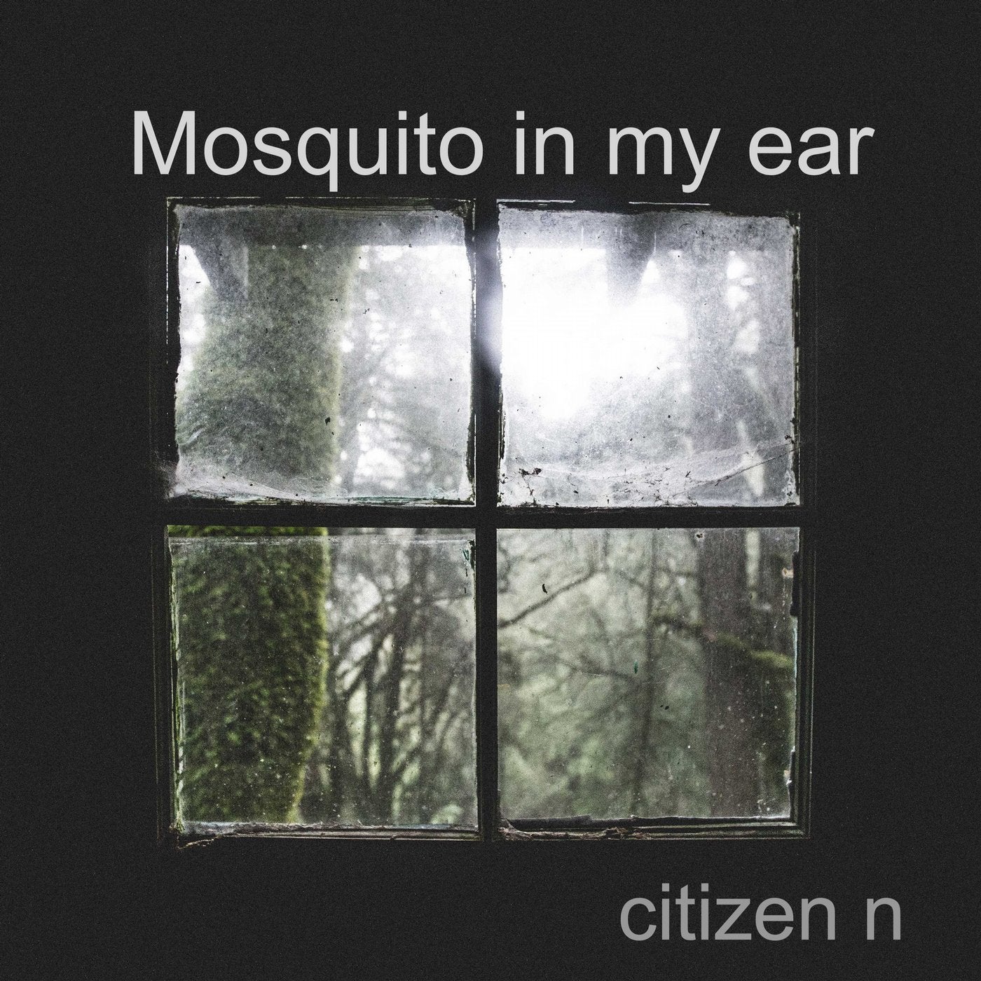 Mosquito in My Ear
