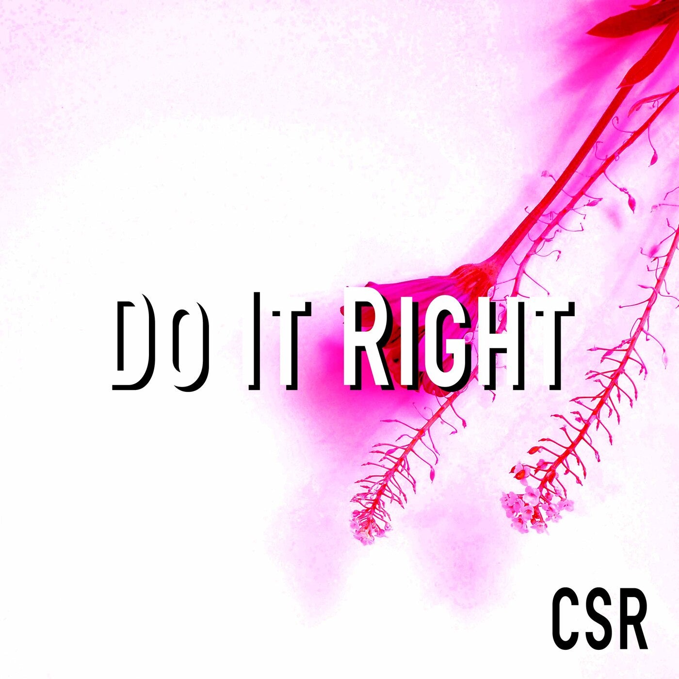 Do It Right