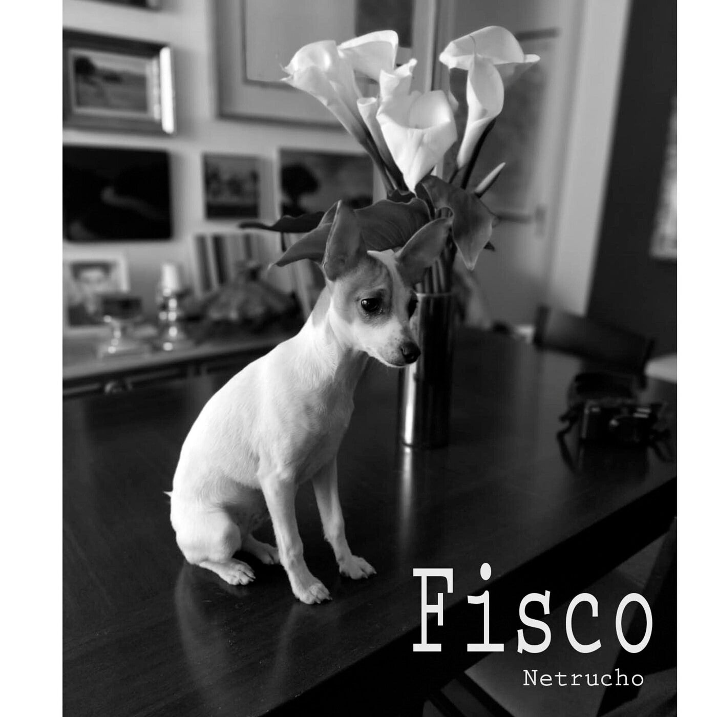 Fisco