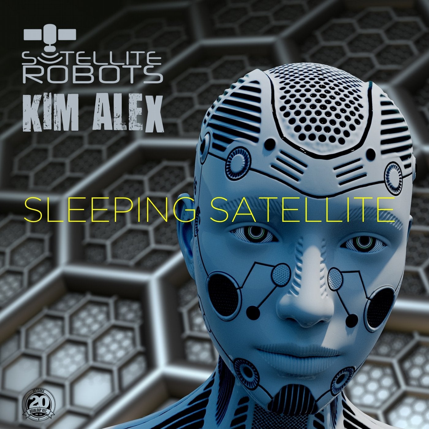 Sleeping Satellite