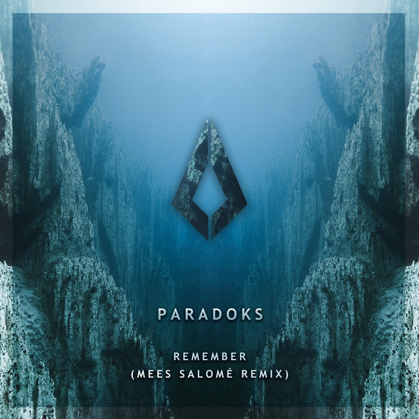 Remember - Mees Salomé Extended Remix — Mees Salomé, Paradoks