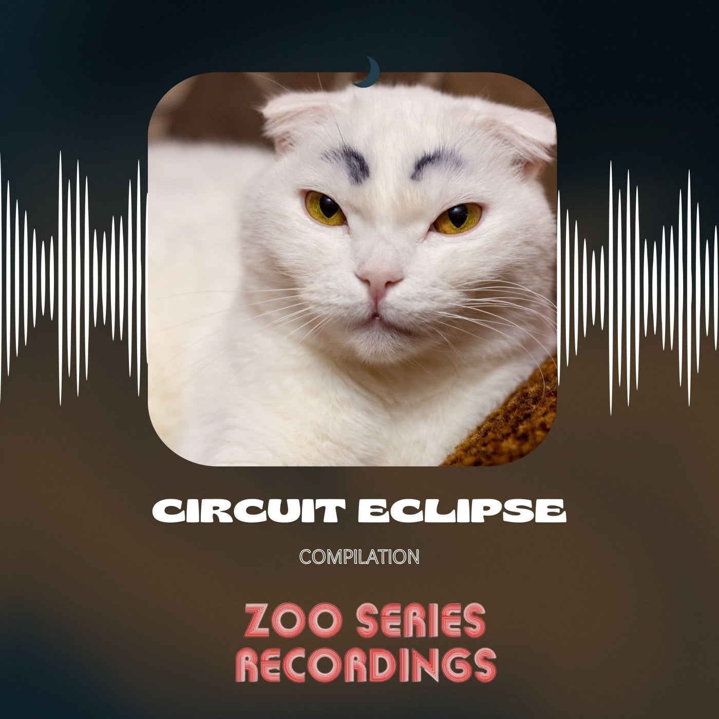 Circuit Eclipse