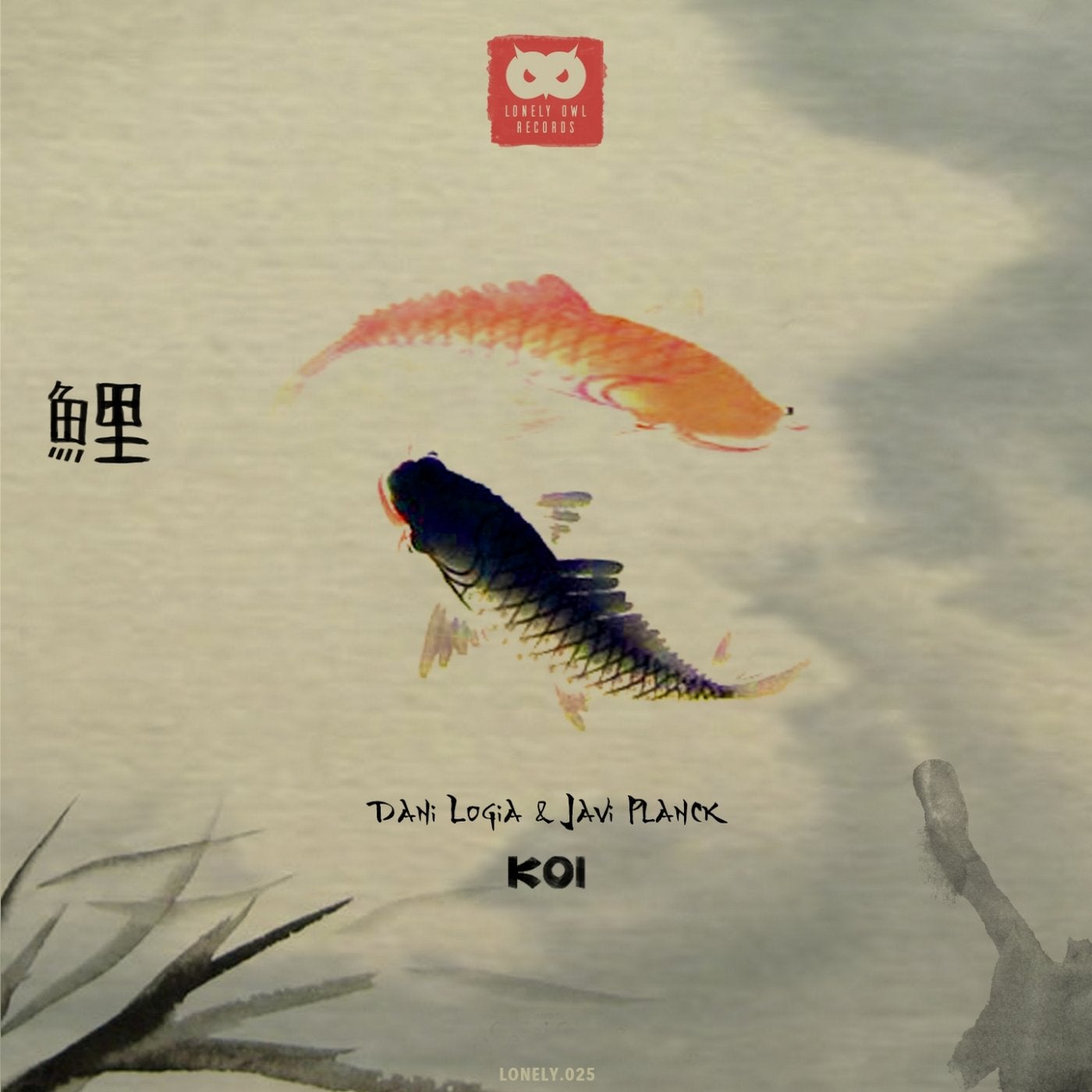 Koi