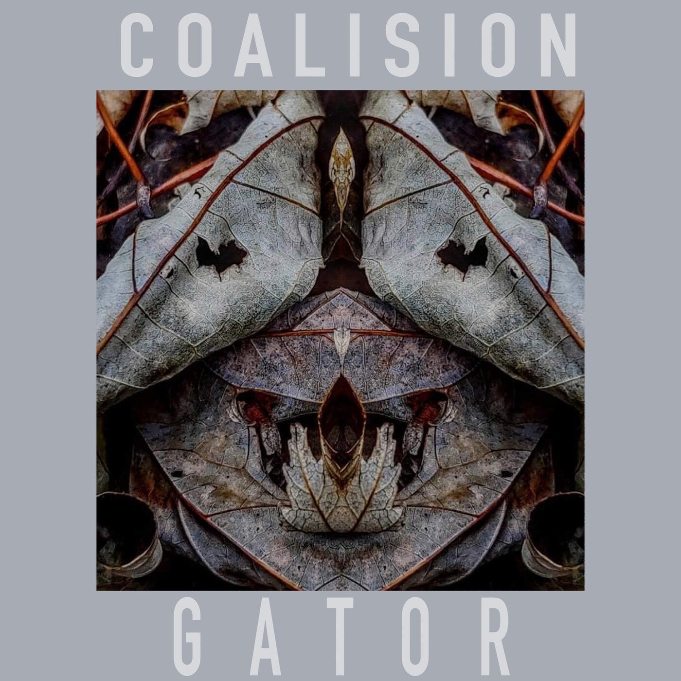 Gator