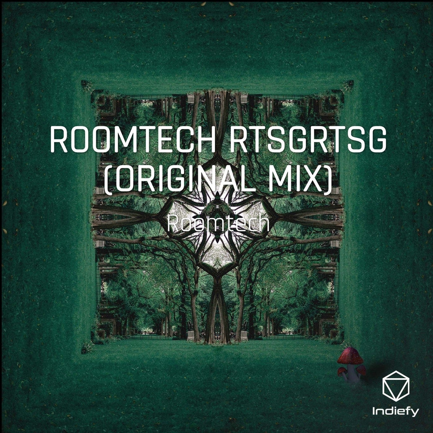 ROOMTECH RTSGRTSG (ORIGINAL MIX)