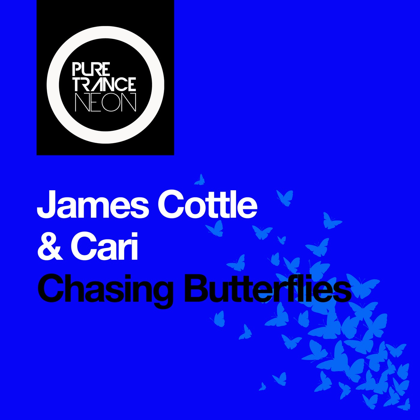 Cover art for Chasing Butterflies