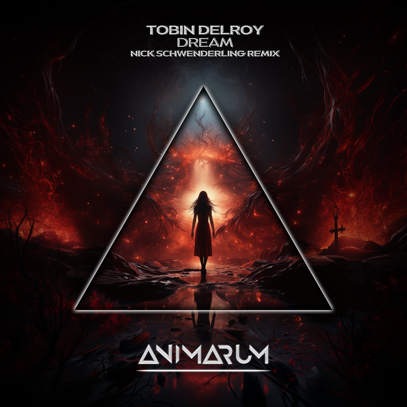 Cover art for Dream (Nick Schwenderling Extended Remix)