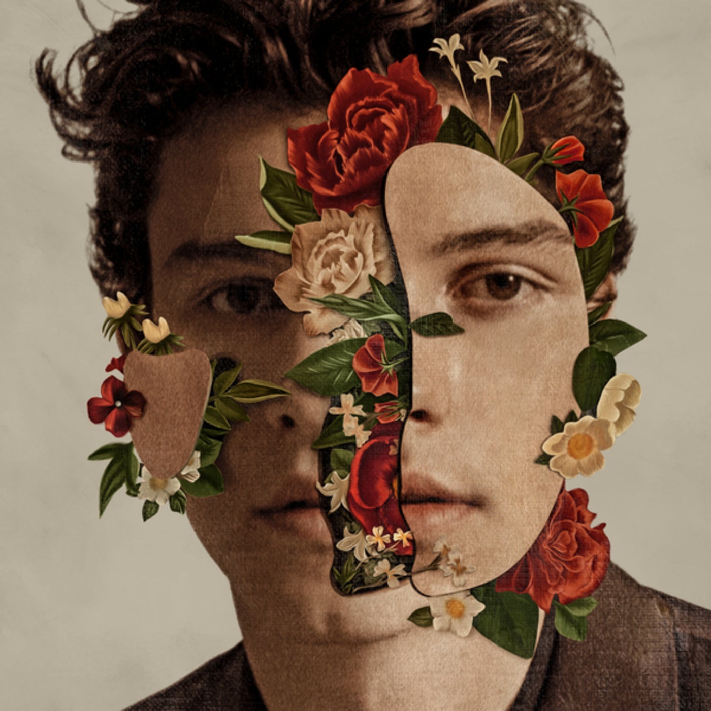 Cover art for Shawn Mendes