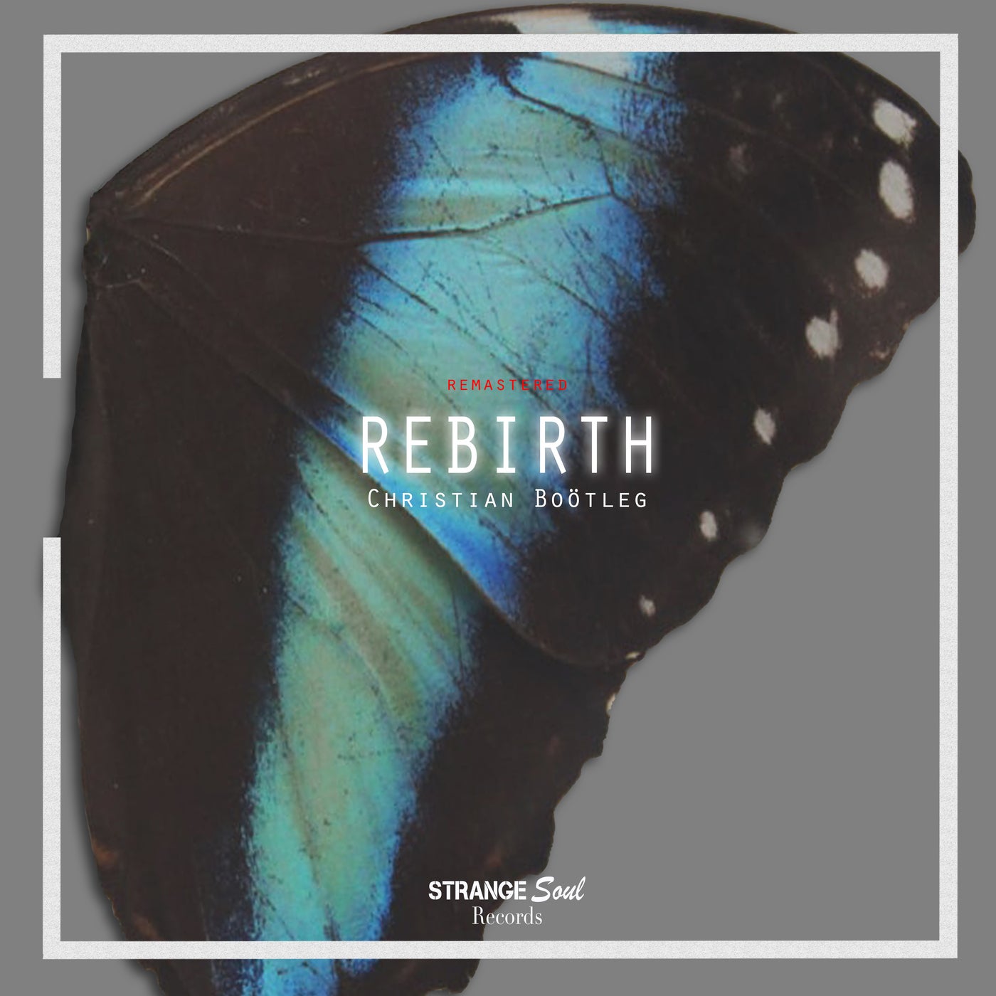 Rebirth