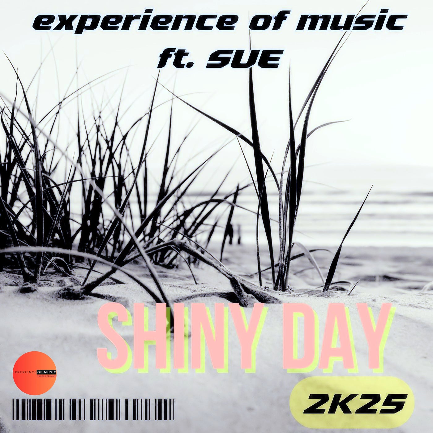Cover art for Shiny Day 2k25
