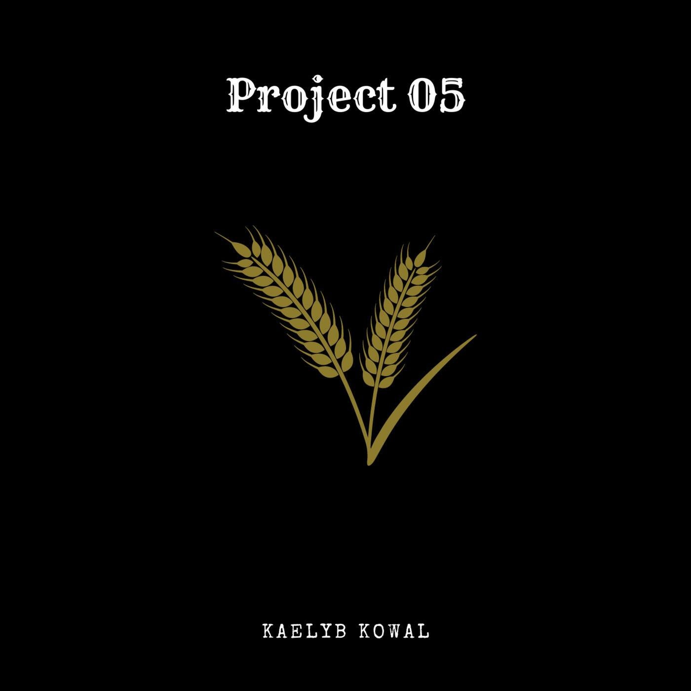 Project 05