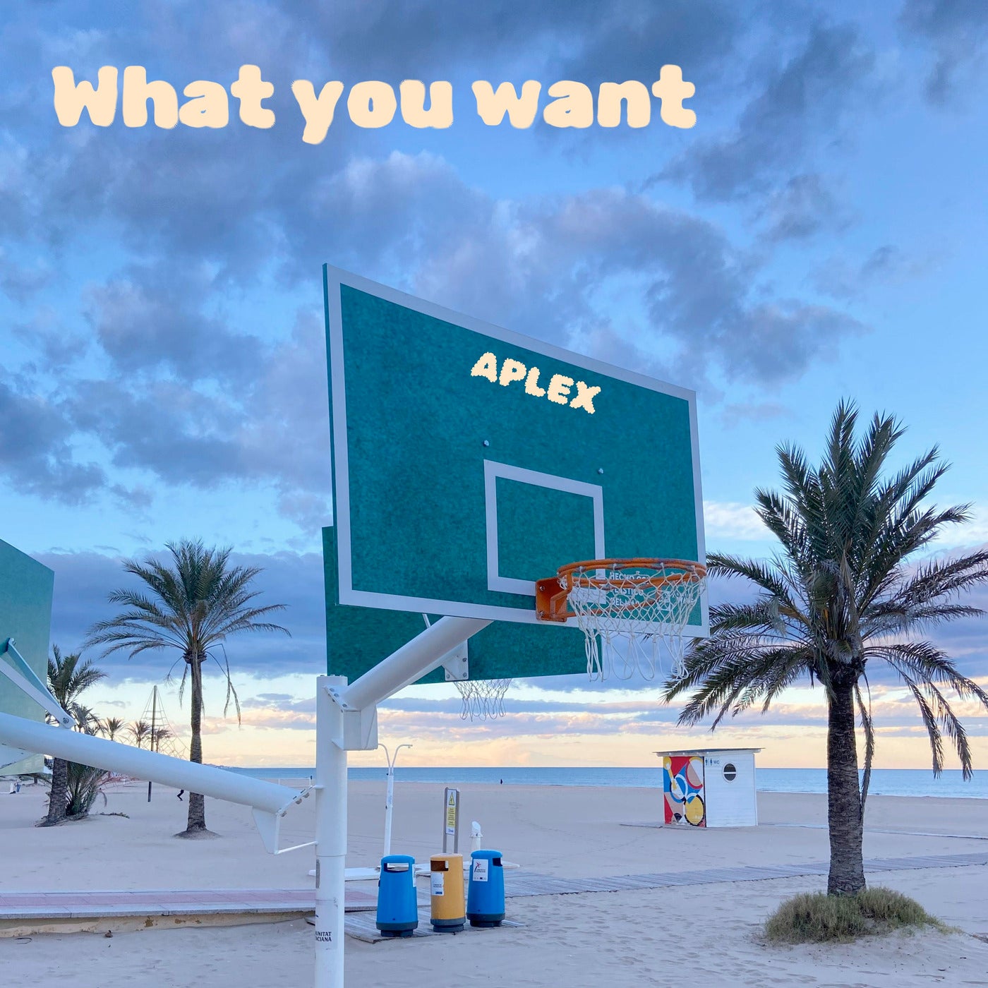 What You Want