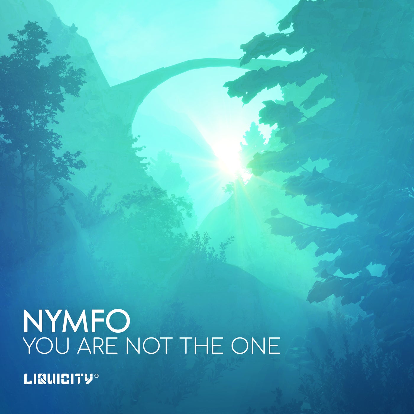 You Are Not The One