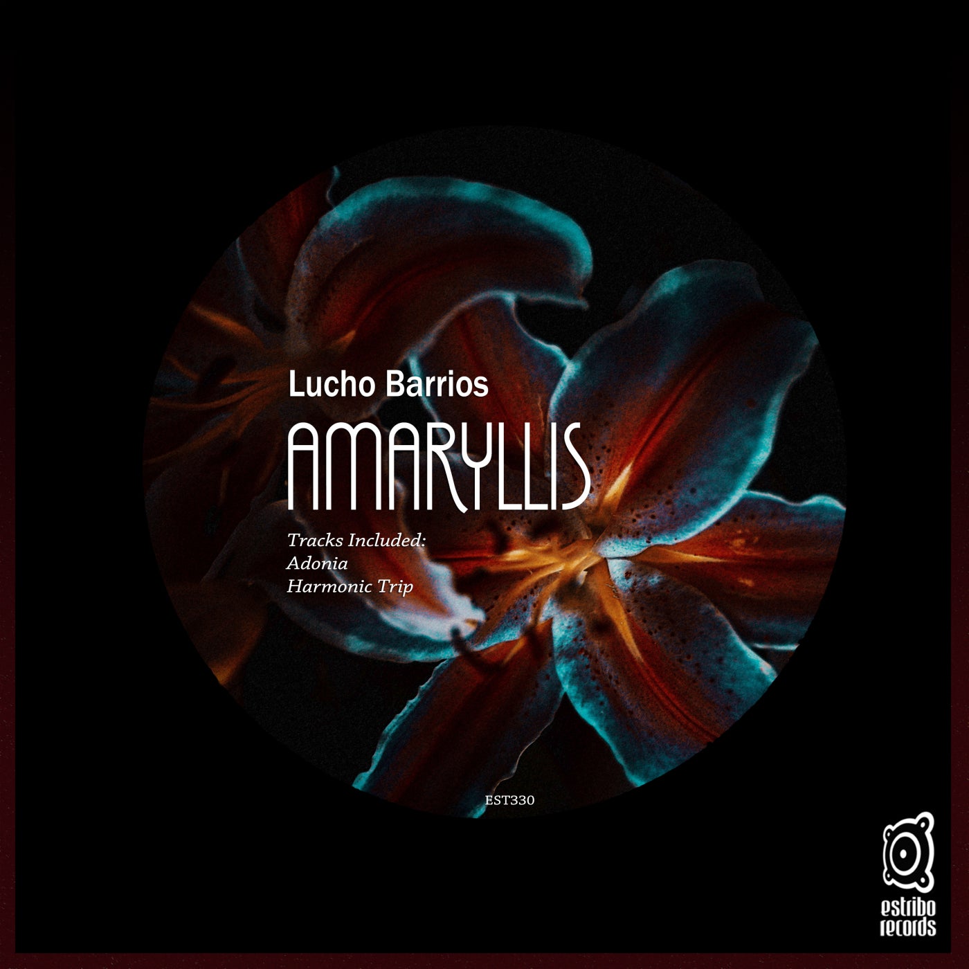 Amaryllis