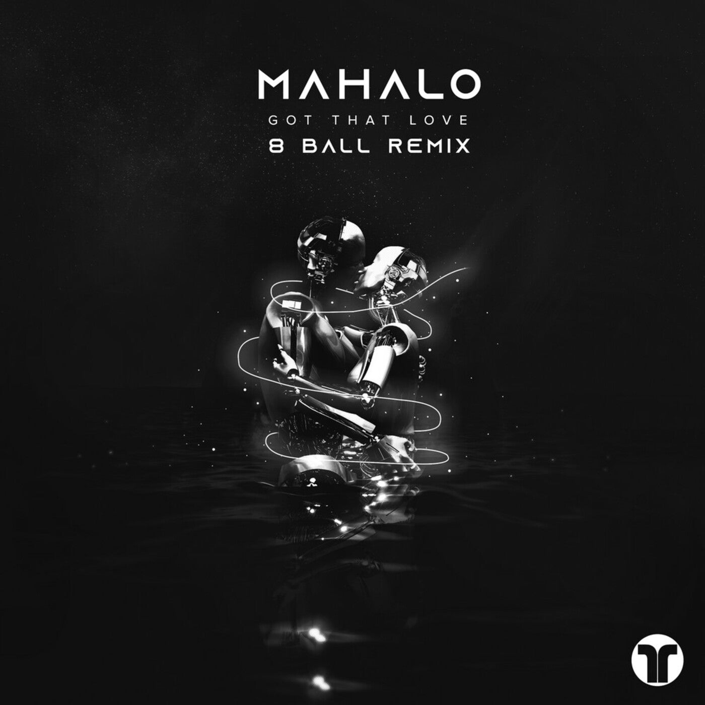 Got That Love (8 Ball Extended Remix)