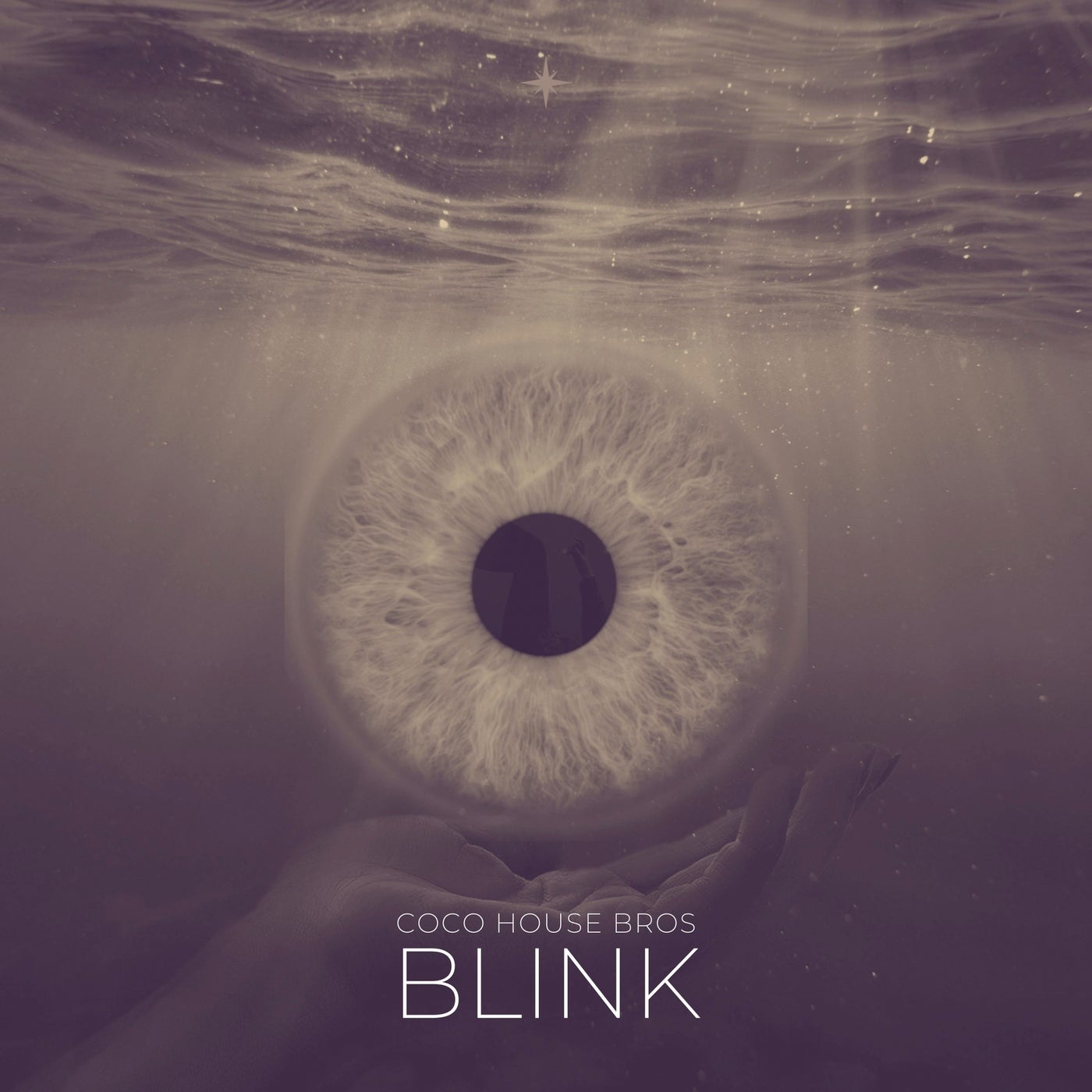 Blink