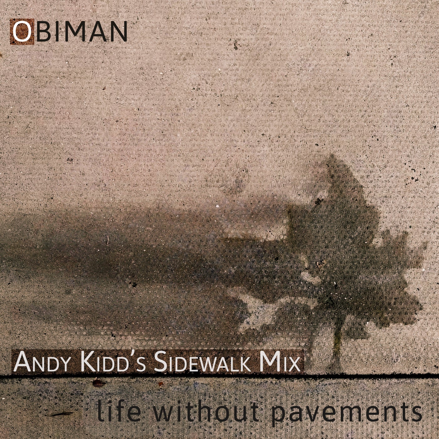 Life Without Pavements