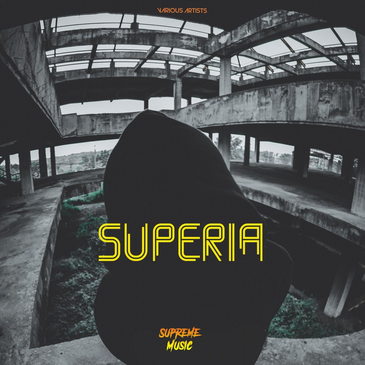 Superia