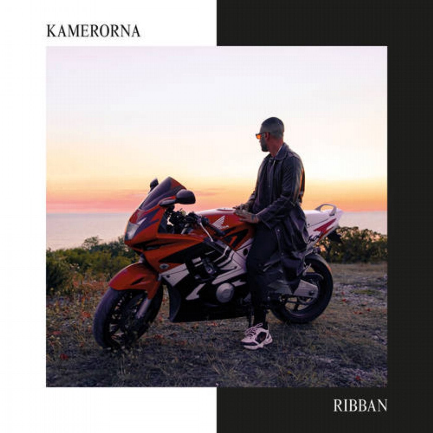 Kamerorna / Ribban