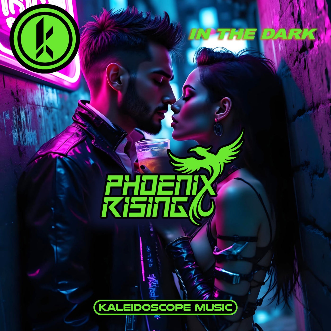 Cover art for In The Dark