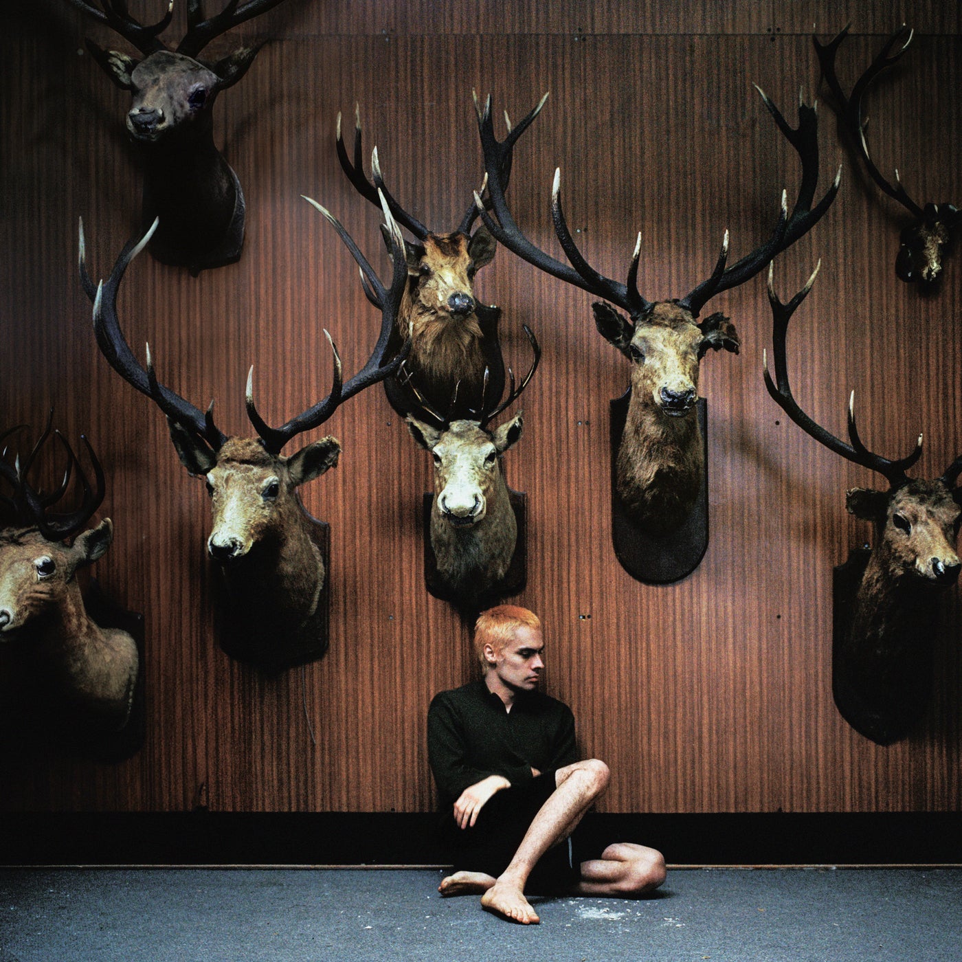 Cover art for Deer Teeth